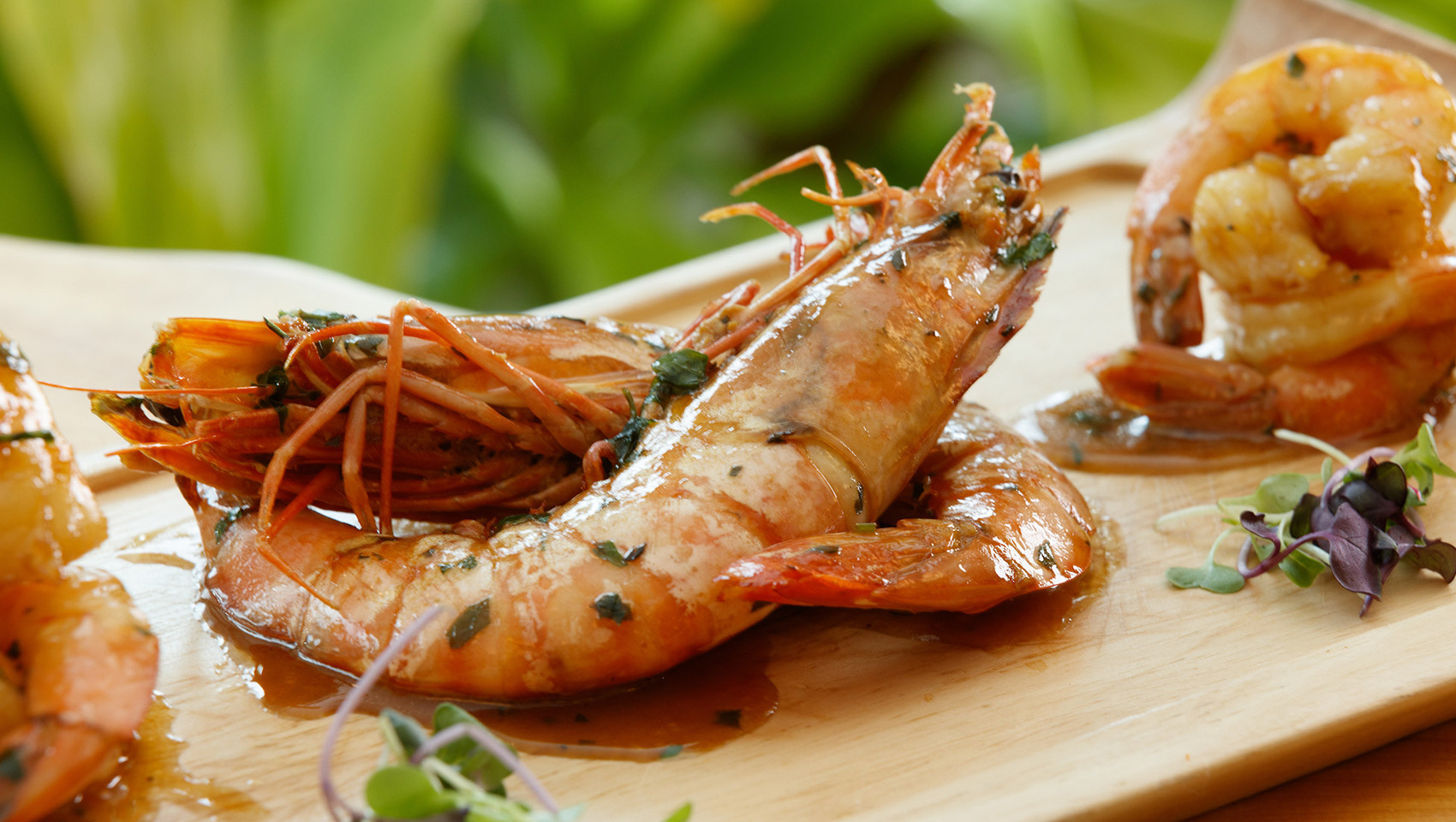 Beach X-scape Bar and Grill